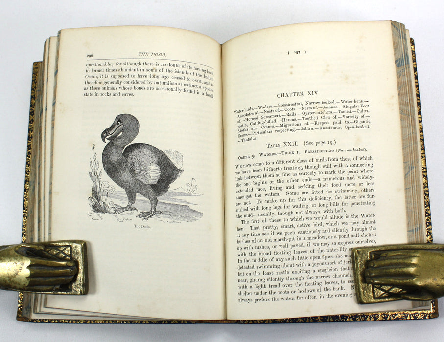 A Familiar History of Birds, Edward Stanley, 1890