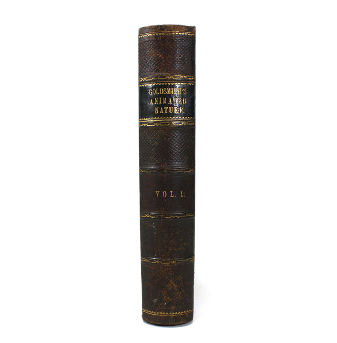 A History of The Earth and Animated Nature, Oliver Goldsmith, Baron Cuvier, Washington Irving, Vol. 1, c. 1845