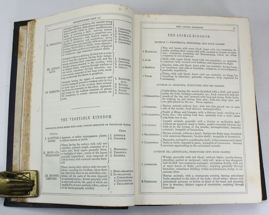 A History of The Earth and Animated Nature, Oliver Goldsmith, Baron Cuvier, Washington Irving, Vol. 1, c. 1845
