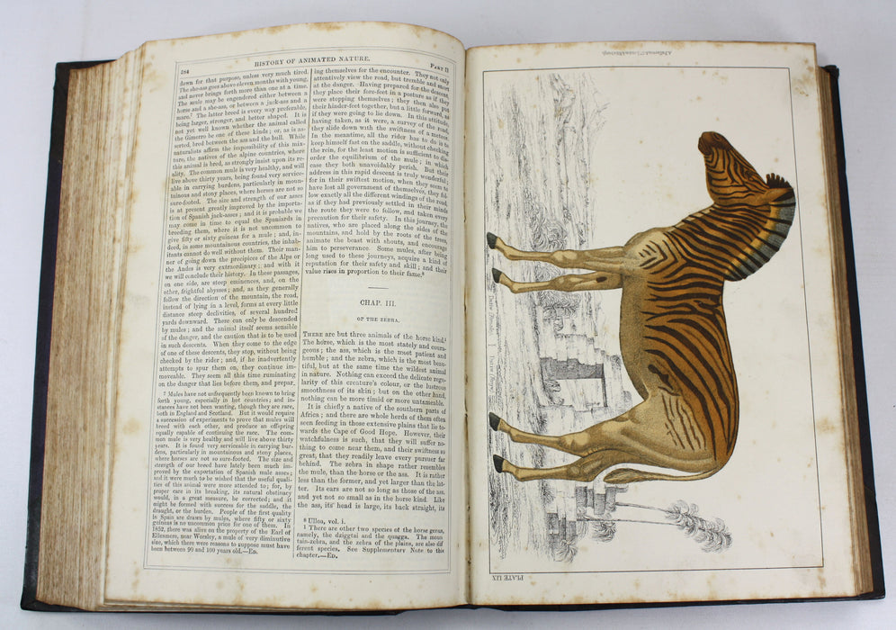 A History of The Earth and Animated Nature, Oliver Goldsmith, Baron Cuvier, Washington Irving, Vol. 1, c. 1845