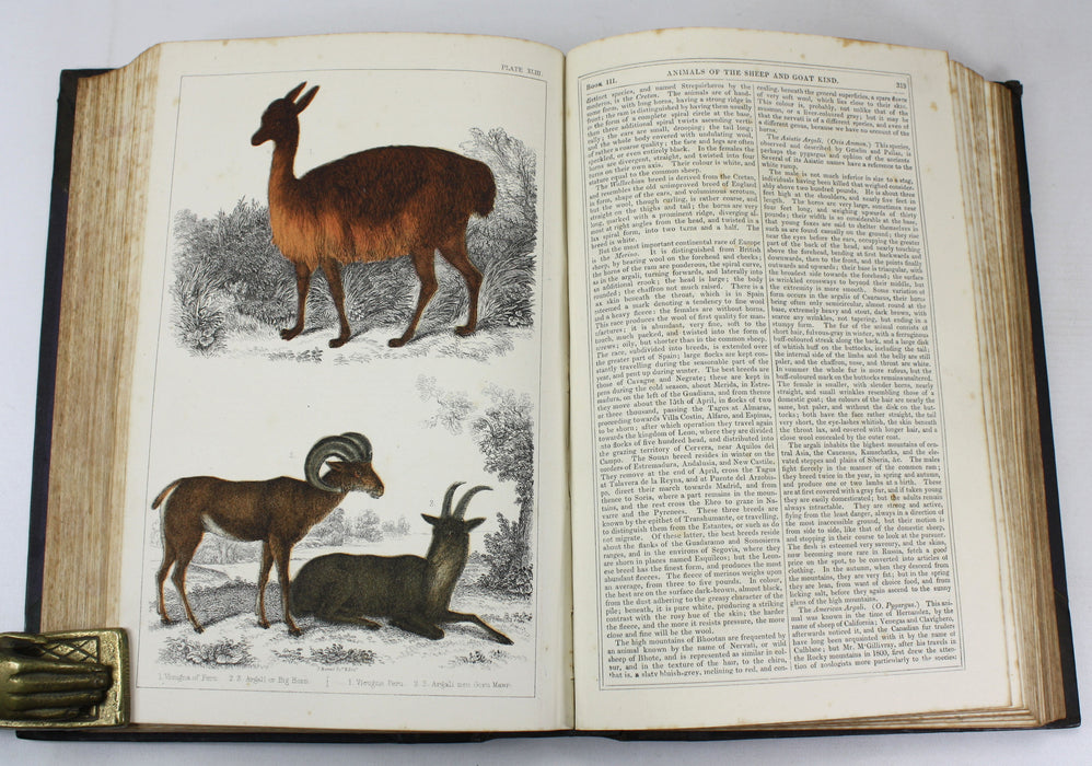 A History of The Earth and Animated Nature, Oliver Goldsmith, Baron Cuvier, Washington Irving, Vol. 1, c. 1845