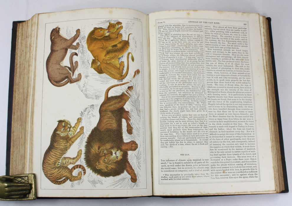 A History of The Earth and Animated Nature, Oliver Goldsmith, Baron Cuvier, Washington Irving, Vol. 1, c. 1845