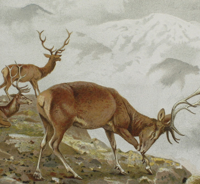 A Sporting Tour Through the Northern Parts of England and Great Part of the Highlands of Scotland, Colonel T. Thornton, 1896 Limited edition