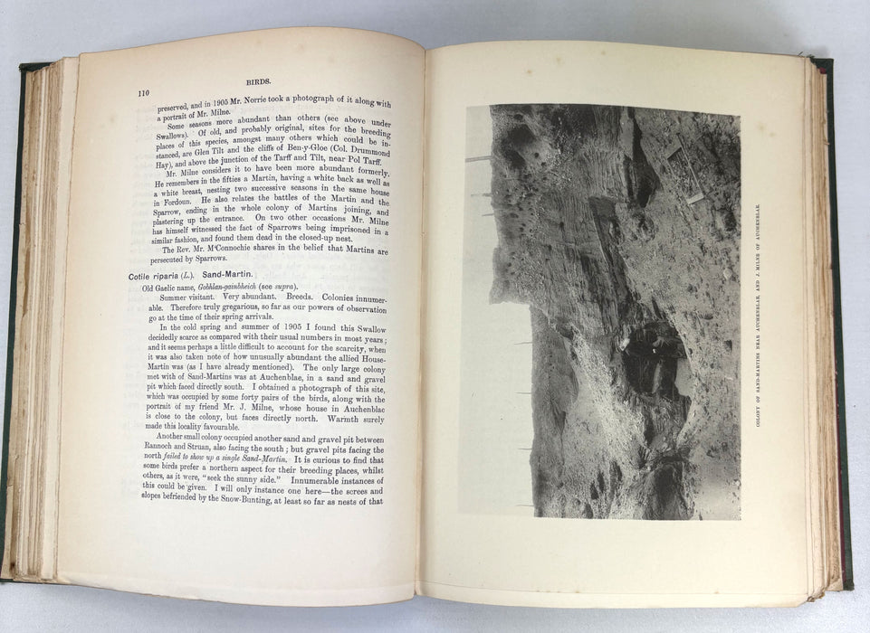 A Vertebrate Fauna of Scotland; A Fauna of the Tay Basin and Strathmore, J.A. Harvie-Brown, 1906