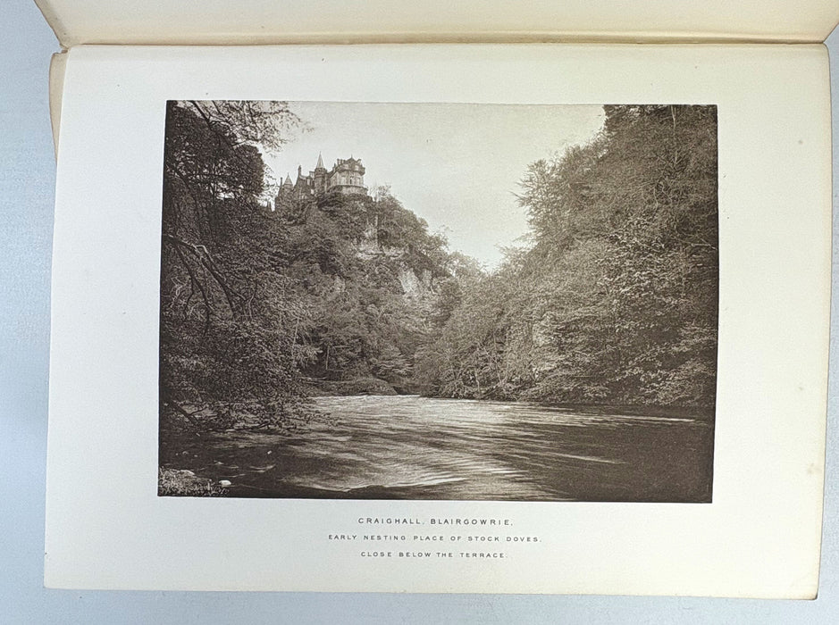 A Vertebrate Fauna of Scotland; A Fauna of the Tay Basin and Strathmore, J.A. Harvie-Brown, 1906