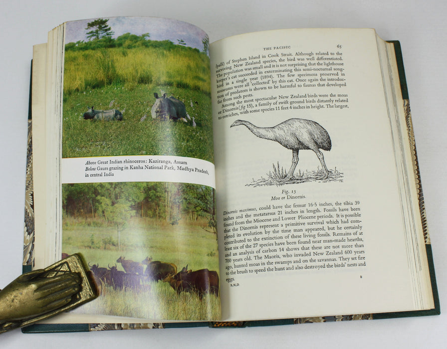 Before Nature Dies, Jean Dorst, Constance D. Sherman, 1971
