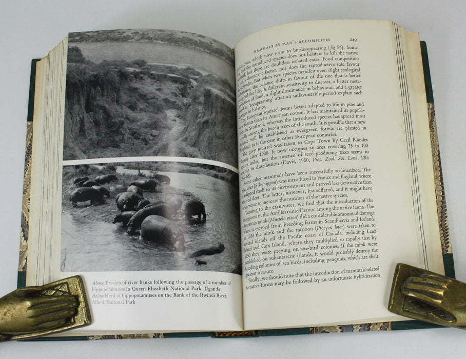 Before Nature Dies, Jean Dorst, Constance D. Sherman, 1971