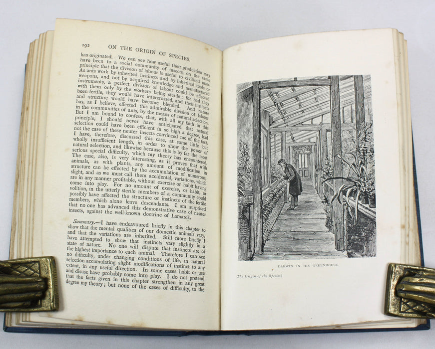 Charles Darwin; On the Origin of Species by Means of Natural Selection, or the Preservation of Favoured Races in the Struggle for Life, 1901, Ward, Lock