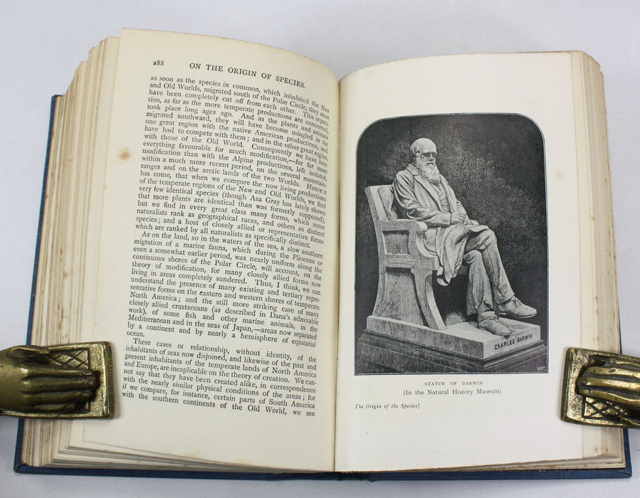Charles Darwin; On the Origin of Species by Means of Natural Selection, or the Preservation of Favoured Races in the Struggle for Life, 1901, Ward, Lock