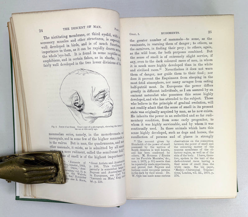 Charles Darwin; The Descent of Man and Selection in Relation to Sex, John Murray, 1888, Second edition, 22nd Thousand