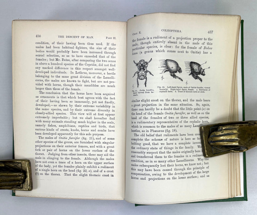Charles Darwin; The Descent of Man and Selection in Relation to Sex, John Murray, 1888, Second edition, 22nd Thousand