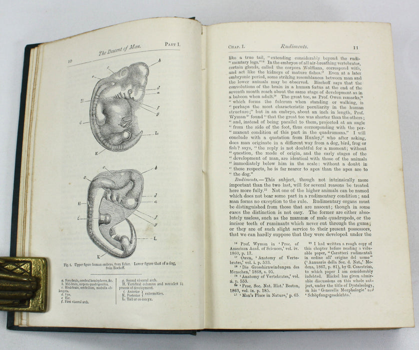 Charles Darwin; The Descent of Man and Selection in Relation to Sex, John Murray, 1899, Second edition, Thirty-Fifth Thousand