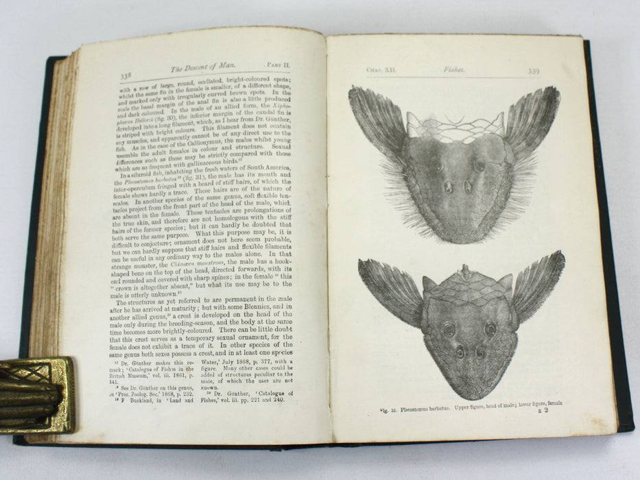 Charles Darwin; The Descent of Man and Selection in Relation to Sex, John Murray, 1899, Second edition, Thirty-Fifth Thousand