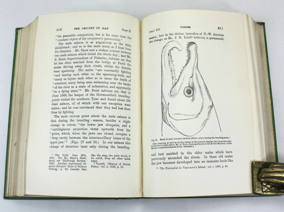 Charles Darwin; The Descent of Man and Selection in Relation to Sex, John Murray, 1909