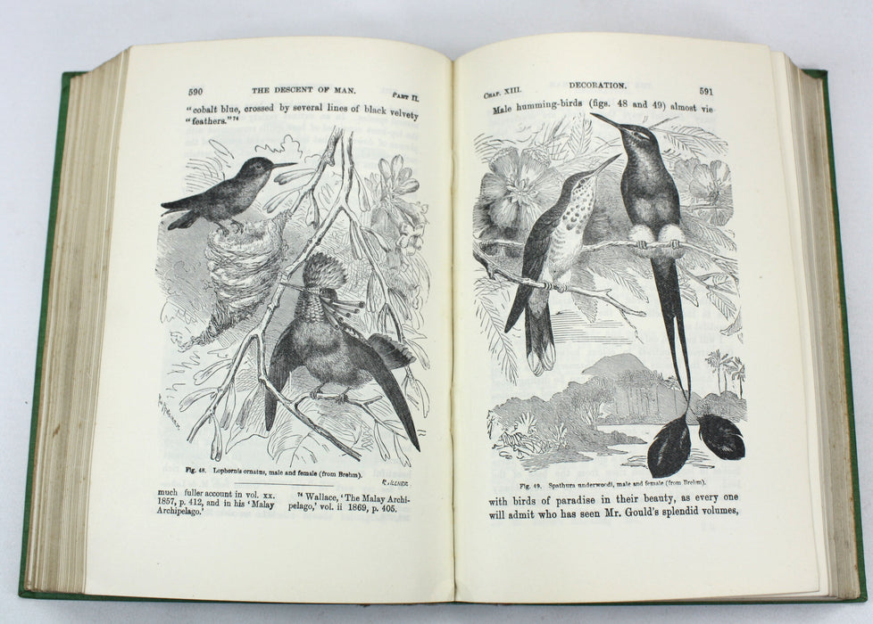 Charles Darwin; The Descent of Man and Selection in Relation to Sex, John Murray, 1909