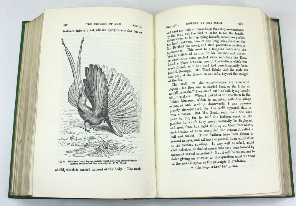 Charles Darwin; The Descent of Man and Selection in Relation to Sex, John Murray, 1909