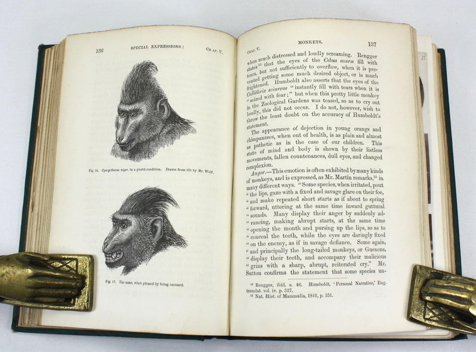 Charles Darwin; The Expression of the Emotions in Man and Animals, John Murray, 1873, Tenth Thousand