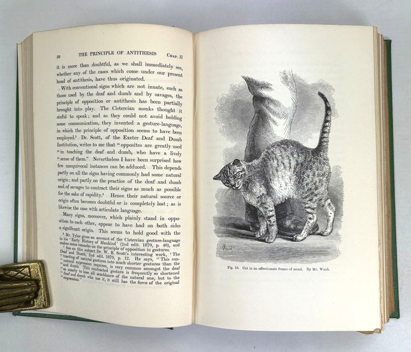Charles Darwin; The Expression of the Emotions in Man and Animals, John Murray, 1904