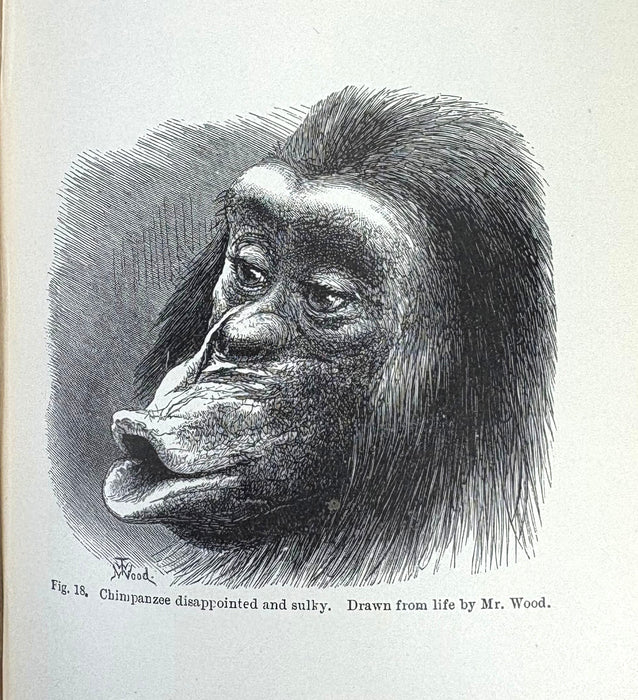 Charles Darwin; The Expression of the Emotions in Man and Animals, John Murray, 1904