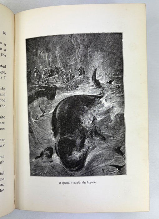 For The Flag, From the French of Jules Verne, by Mrs. Cashel Hoey, Sampson Low, 1897, first British edition.