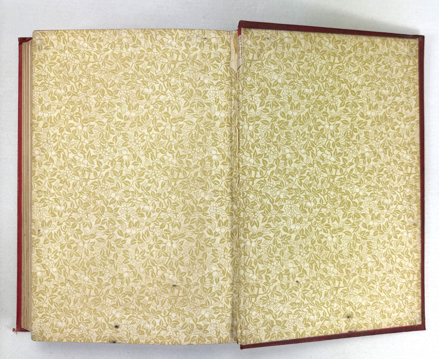 For The Flag, From the French of Jules Verne, by Mrs. Cashel Hoey, Sampson Low, 1897, first British edition.