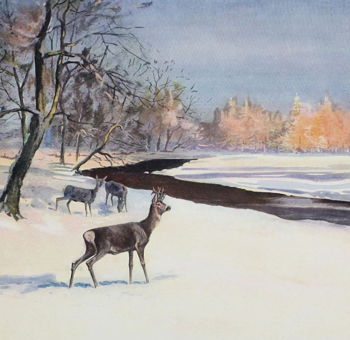 Hunting & Stalking The Deer; The Pursuit of Red, Fallow and Roe Deer in England and Scotland, Lionel Edwards and Harold Frank Wallace, Signed, Limited edition, 1927