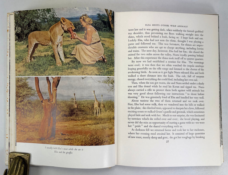 Joy Adamson; Born Free, Living Free, & Forever Free, 1960-1962, Complete Set