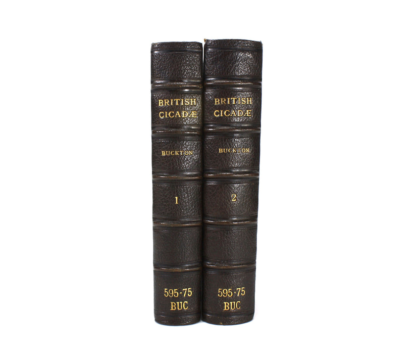 Monograph of the British Cicadae or Tettigidae, George Bowdler Buckton, 1890