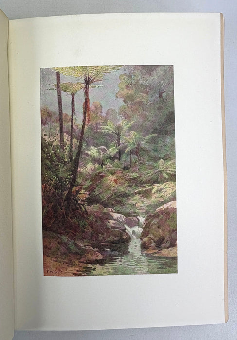 New Zealand; Painted by F. and W. Wright, Described by Hon. William Pember Reeves, 1908