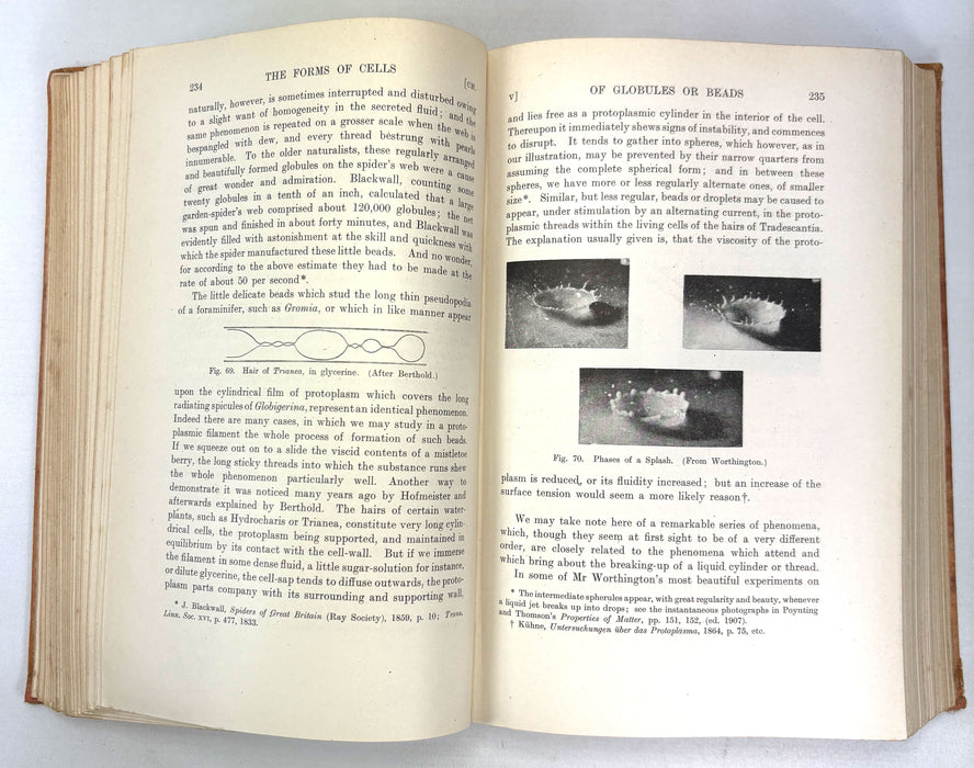 On Growth and Form, D'Arcy Wentworth Thompson, 1st edition signed copy (Cambridge University Press, 1917). Sir Robert Ludwig Mond provenance.