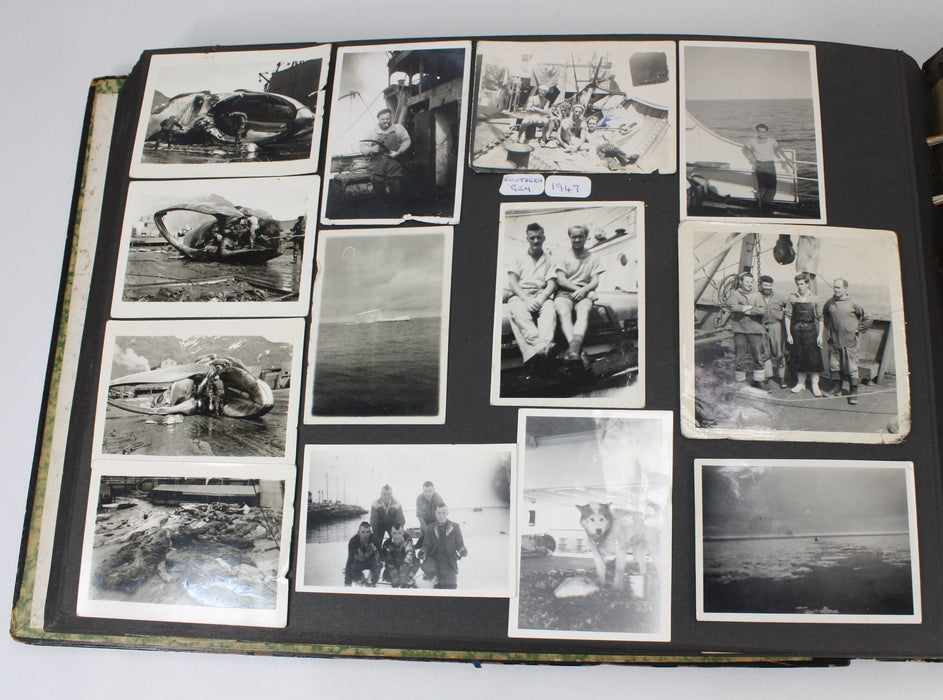 Original 1940s Vintage Photo Album of Seaman William John Reginald Brown - Whaling interest, Falkland Islands