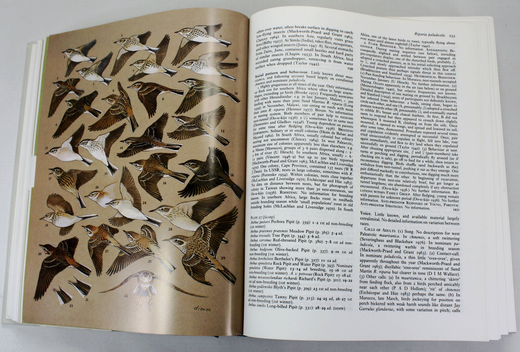 Ornithology; Handbook of the Birds of Europe the Middle East and North Africa, Oxford University Press, 9 Volumes complete, 1980 - 1994