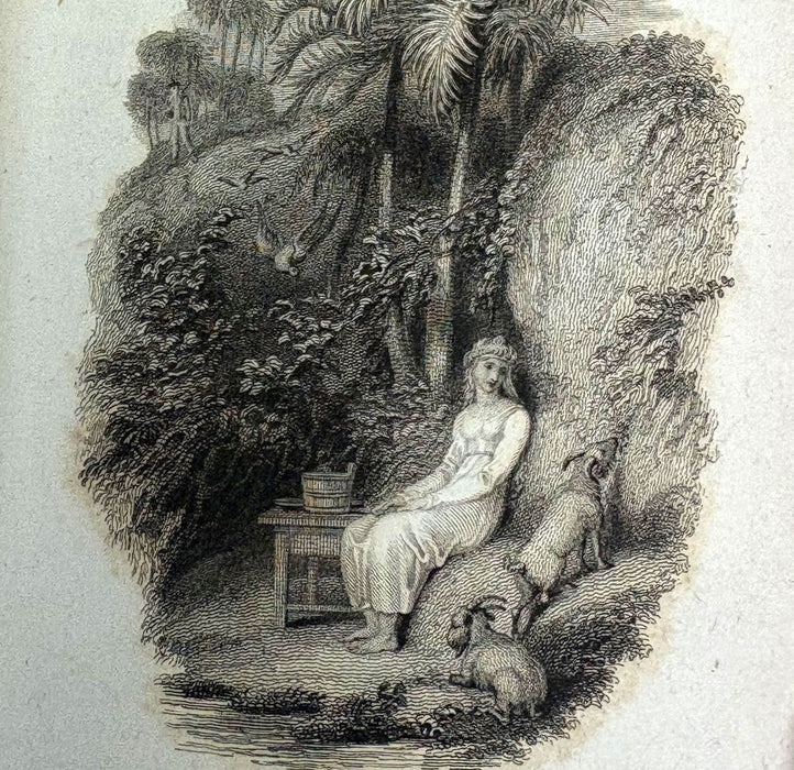 Paul and Virginia, J. Bernardin H. de Saint Pierre; Helen Maria Williams, 1828