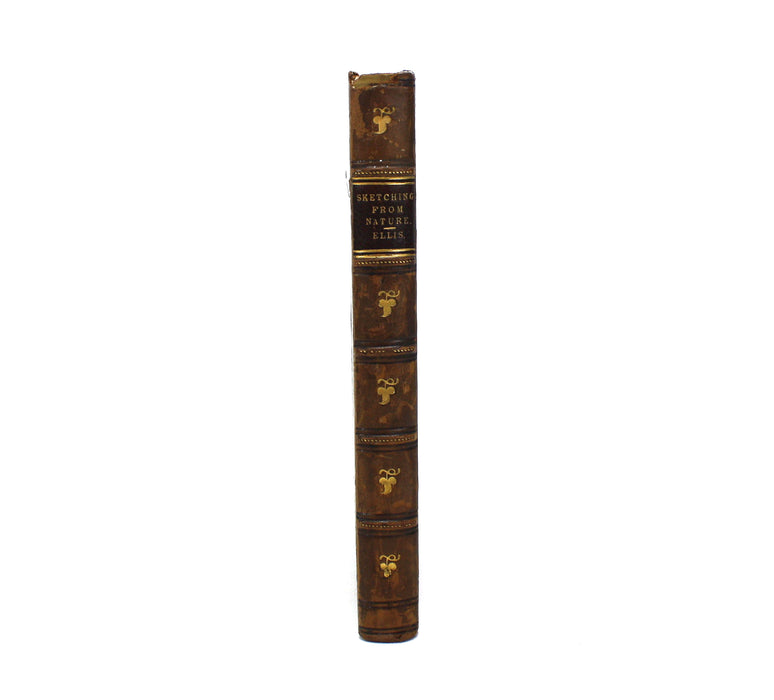 Sketching from Nature; A Handbook for Students and Amateurs, Tristram J. Ellis, 1883