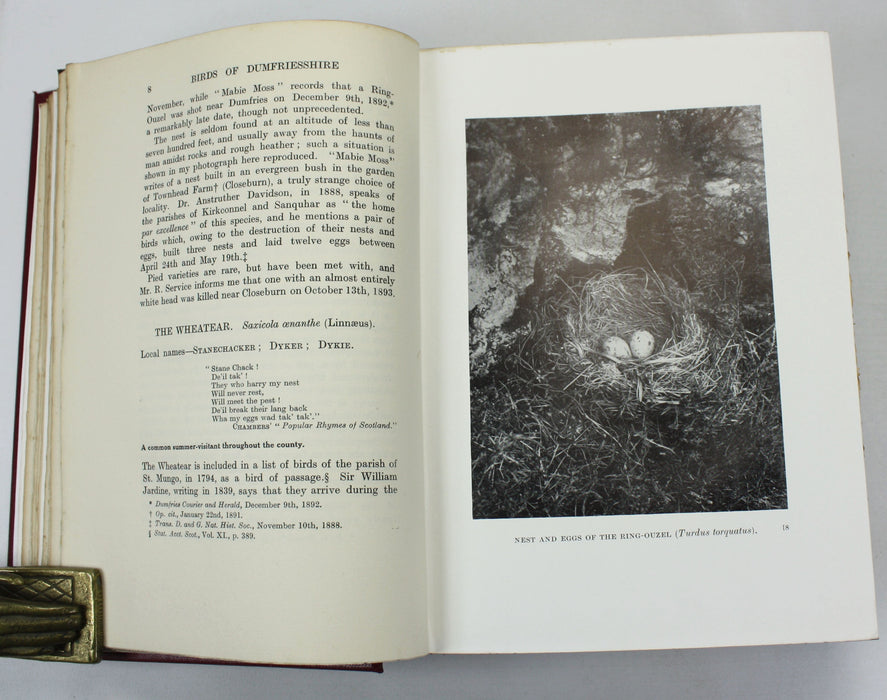 The Birds of Dumfriesshire, Hugh S. Gladstone, Numbered Limited Edition, 1910