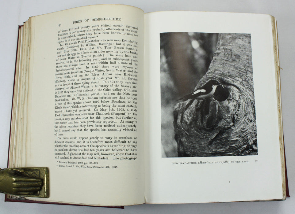 The Birds of Dumfriesshire, Hugh S. Gladstone, Numbered Limited Edition, 1910