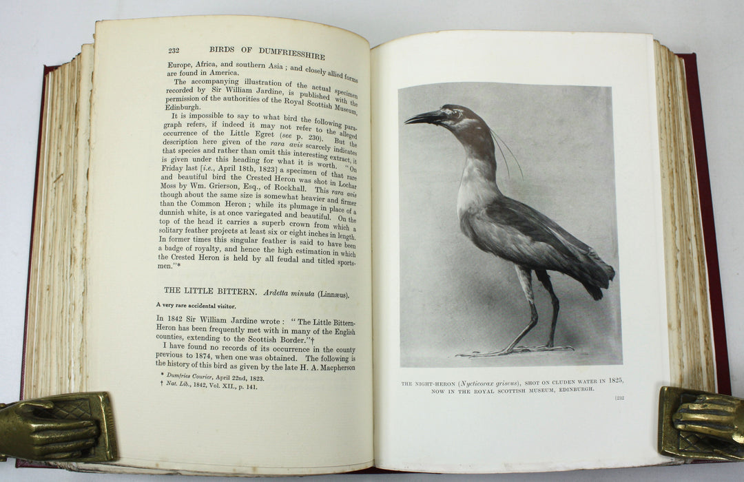 The Birds of Dumfriesshire, Hugh S. Gladstone, Numbered Limited Edition, 1910