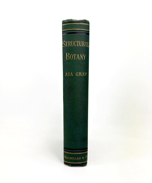 The Botanical Text-Book; Part I; Structural Botany or Organography on the Basis of Morphology, Asa Gray, 1880