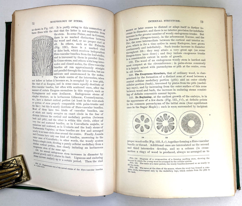 The Botanical Text-Book; Part I; Structural Botany or Organography on the Basis of Morphology, Asa Gray, 1880