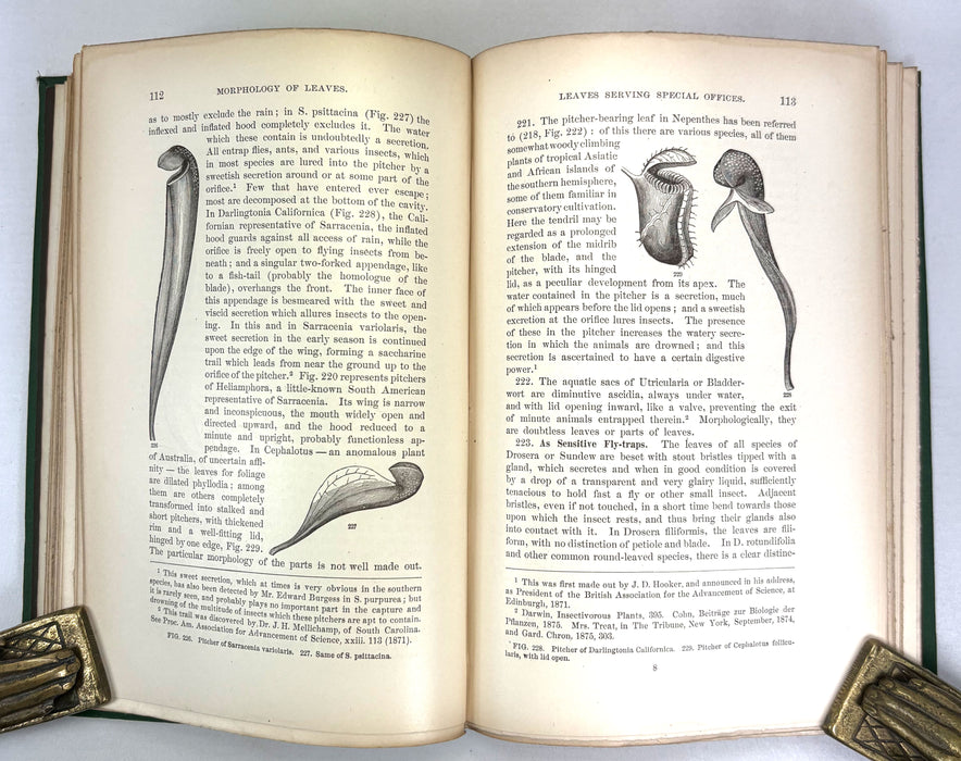 The Botanical Text-Book; Part I; Structural Botany or Organography on the Basis of Morphology, Asa Gray, 1880