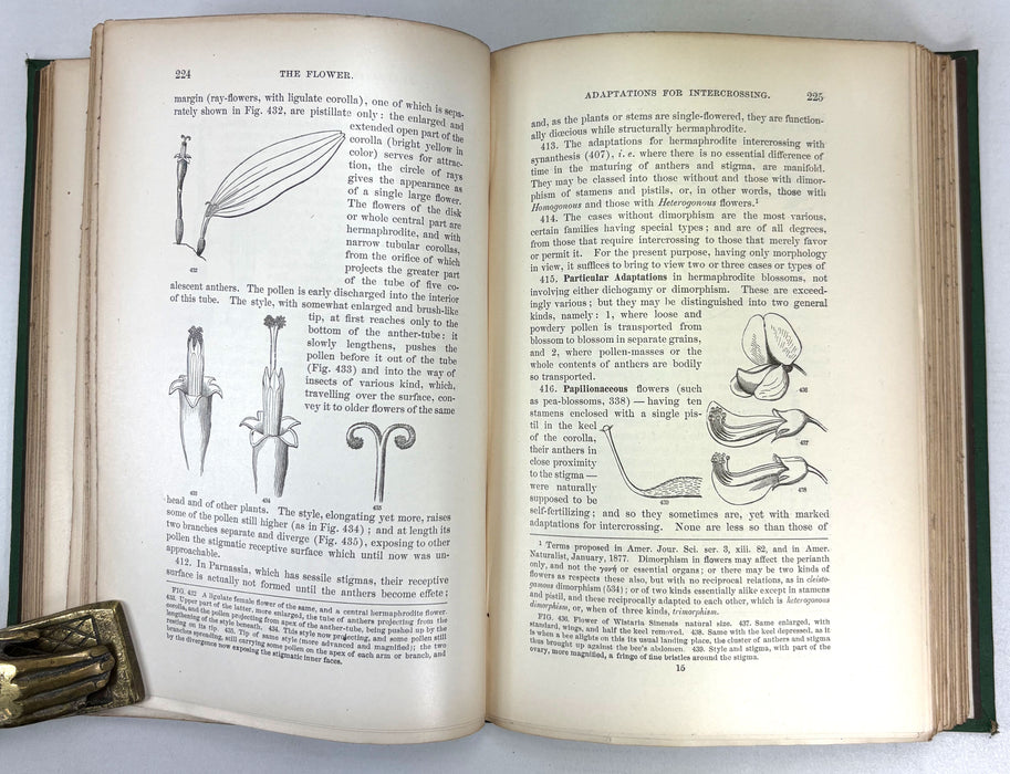 The Botanical Text-Book; Part I; Structural Botany or Organography on the Basis of Morphology, Asa Gray, 1880