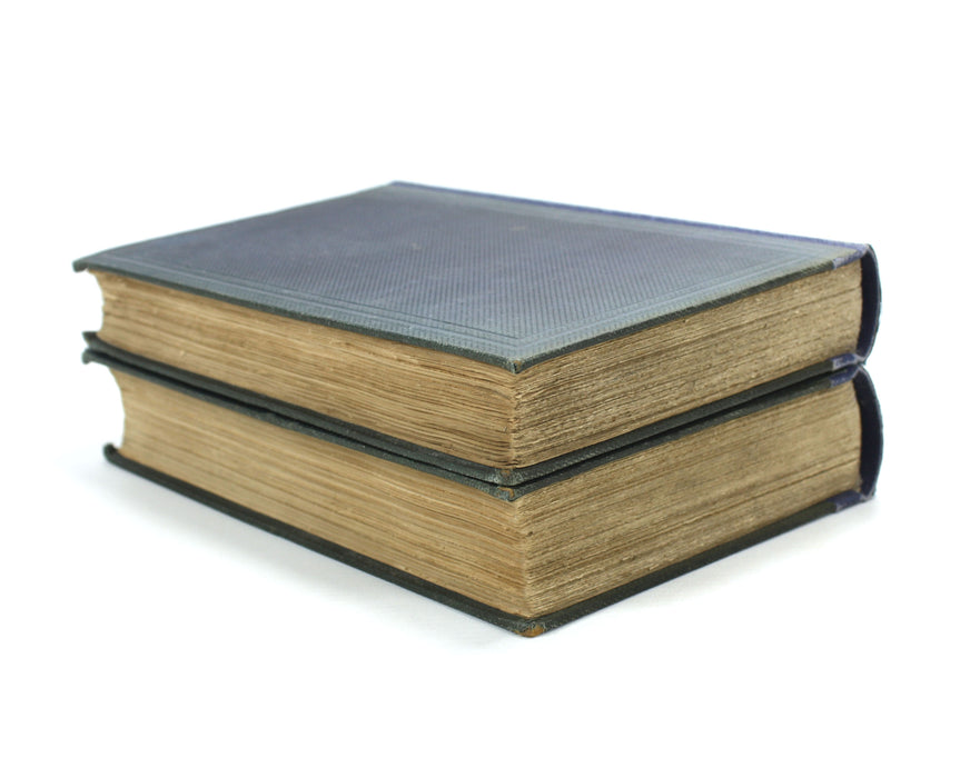 The Natural History and Antiquities of Selborne in the County of Southampton, Gilbert White, Edited by Thomas Bell, John Van Voorst, 1877, 2 Vol Set