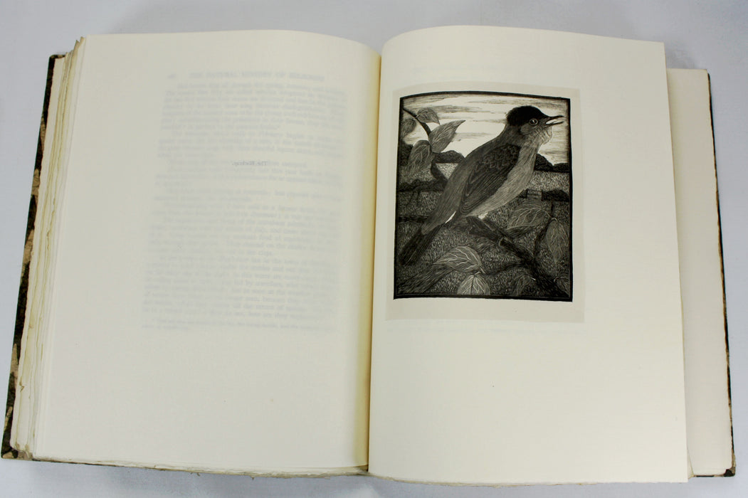 The Natural History of Selborne, Gilbert White, Illustrated by Eric Dalglish, Thornton Butterworth, numbered limited edition with extra signed plate, 1929