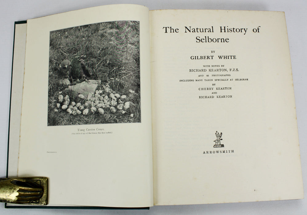 The Natural History of Selborne, Gilbert White, With Notes by Richard Kearton and 85 Photographs, Arrowsmith, 1924