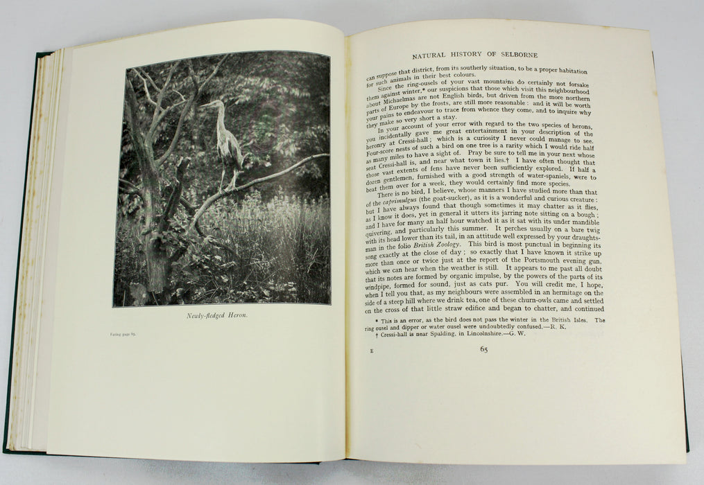 The Natural History of Selborne, Gilbert White, With Notes by Richard Kearton and 85 Photographs, Arrowsmith, 1924