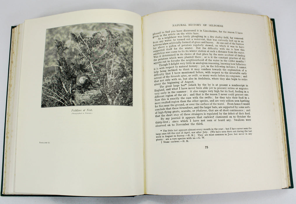 The Natural History of Selborne, Gilbert White, With Notes by Richard Kearton and 85 Photographs, Arrowsmith, 1924
