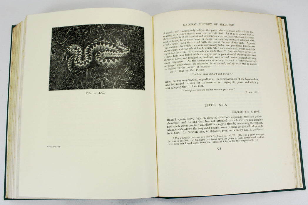 The Natural History of Selborne, Gilbert White, With Notes by Richard Kearton and 85 Photographs, Arrowsmith, 1924