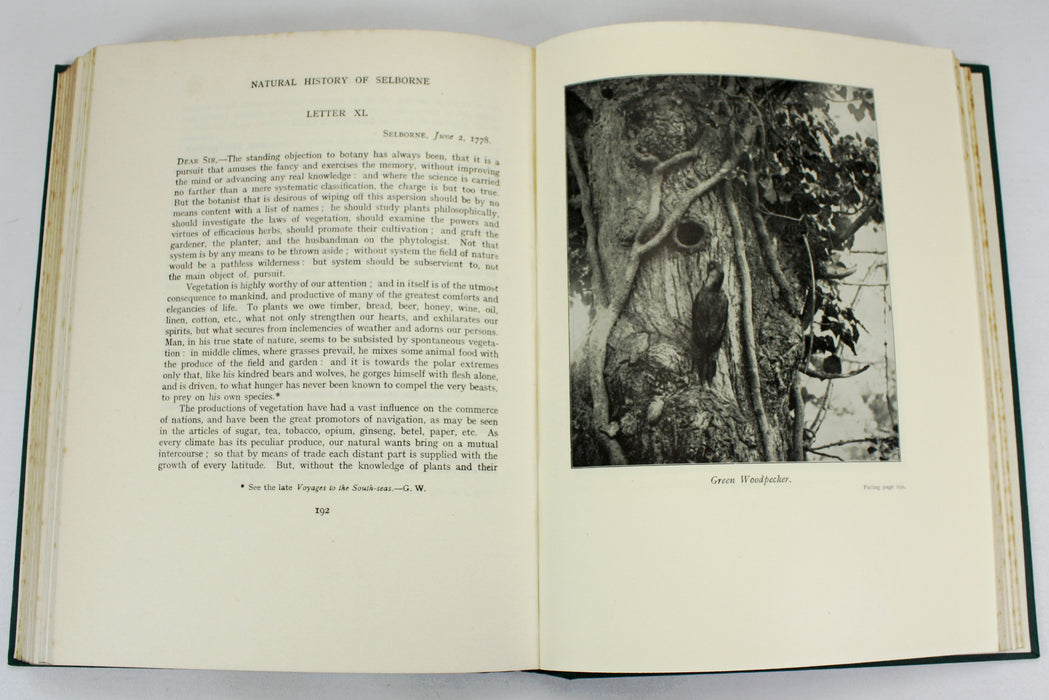 The Natural History of Selborne, Gilbert White, With Notes by Richard Kearton and 85 Photographs, Arrowsmith, 1924