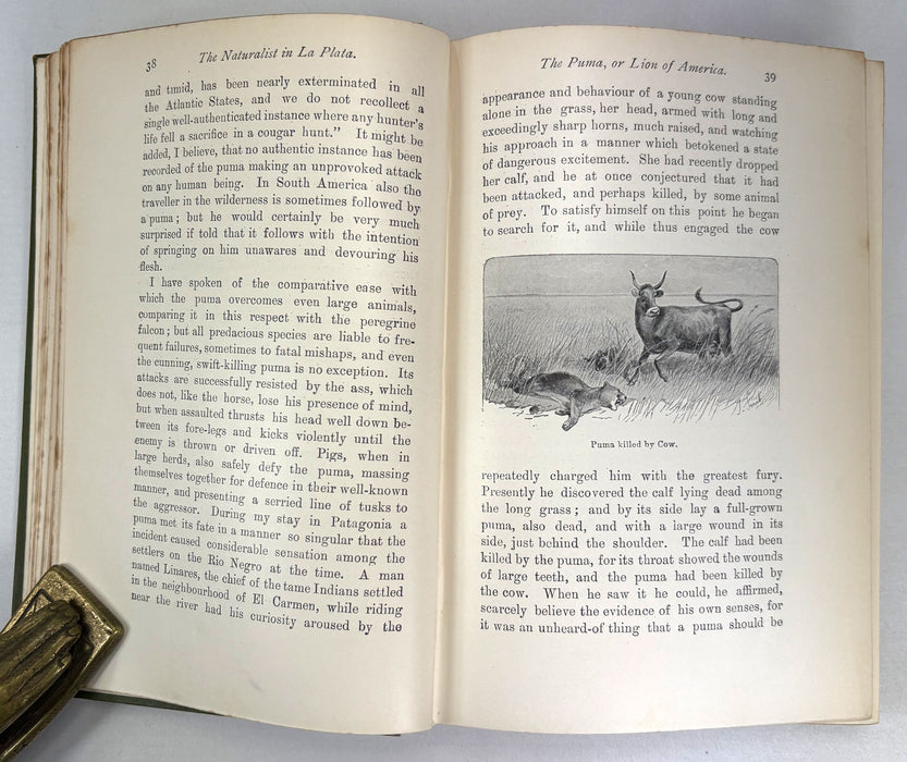 The Naturalist in La Plata, W. H. Hudson, 1912