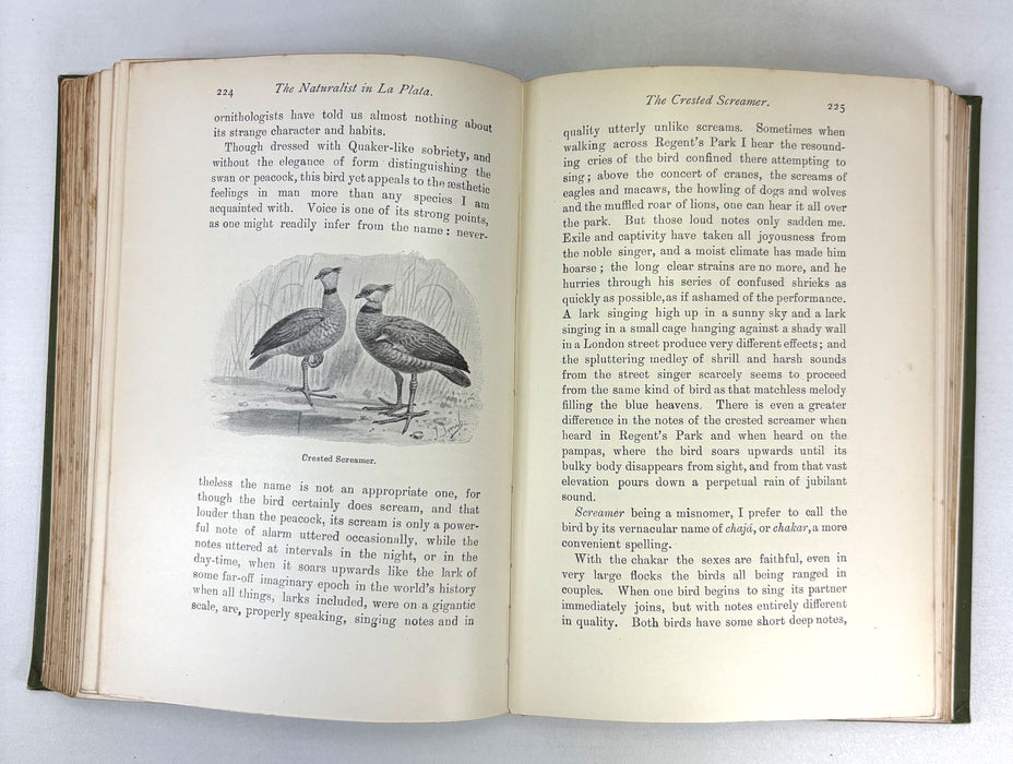 The Naturalist in La Plata, W. H. Hudson, 1912